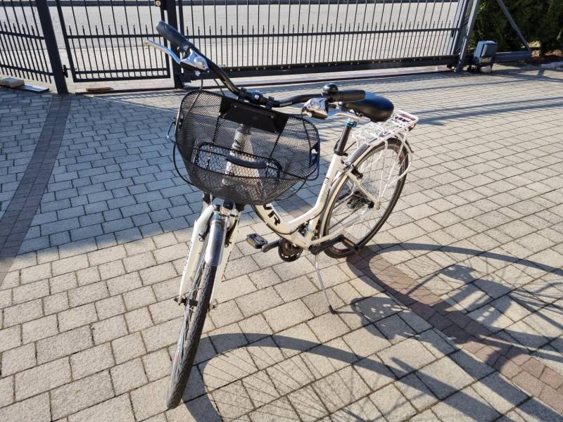 ox_rower-damski-svr