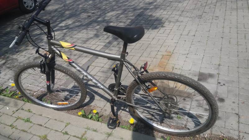 ox_rower-kola-26