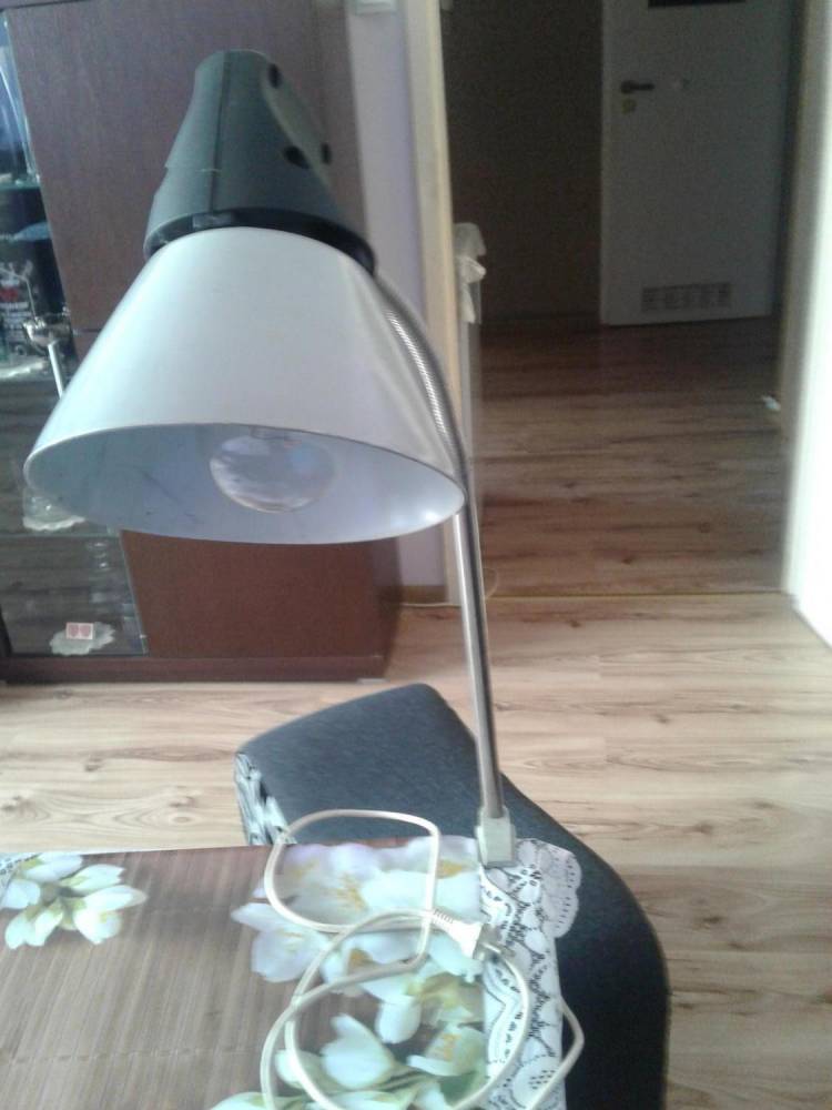ox_lampa