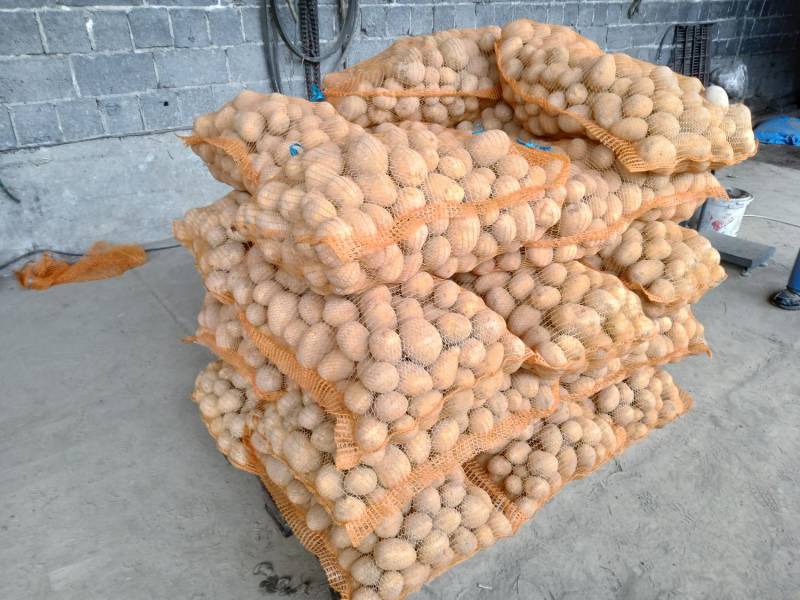 ox_ziemniaki-jadalne-odm-gala-od-rolnika-do-20-km-z-dowozem-w-cenie