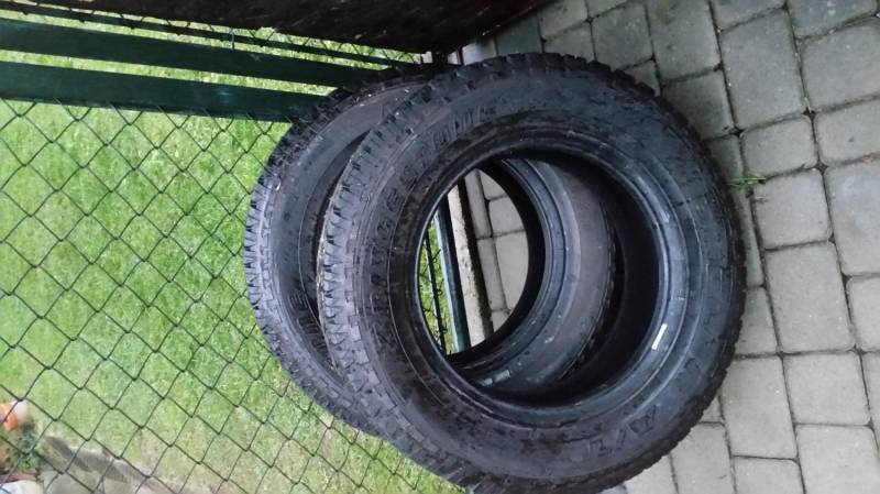 ox_opony-bridgestone-duelery-2157016-caloroczne
