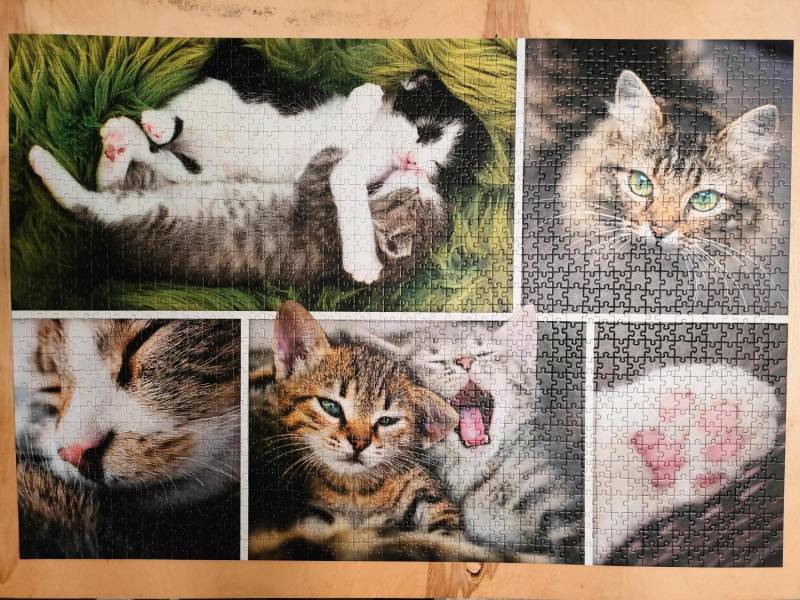 ox_puzzle-z-kotkami
