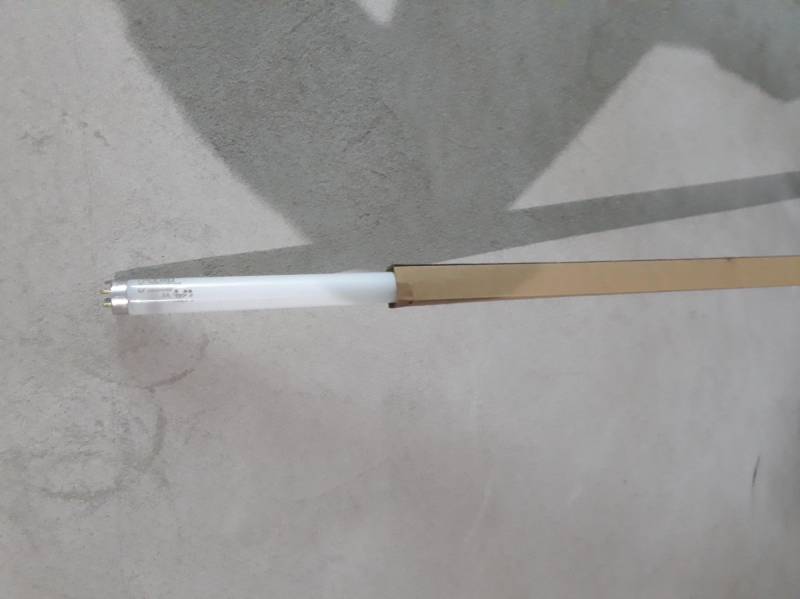 ox_swietlowki-120-cm