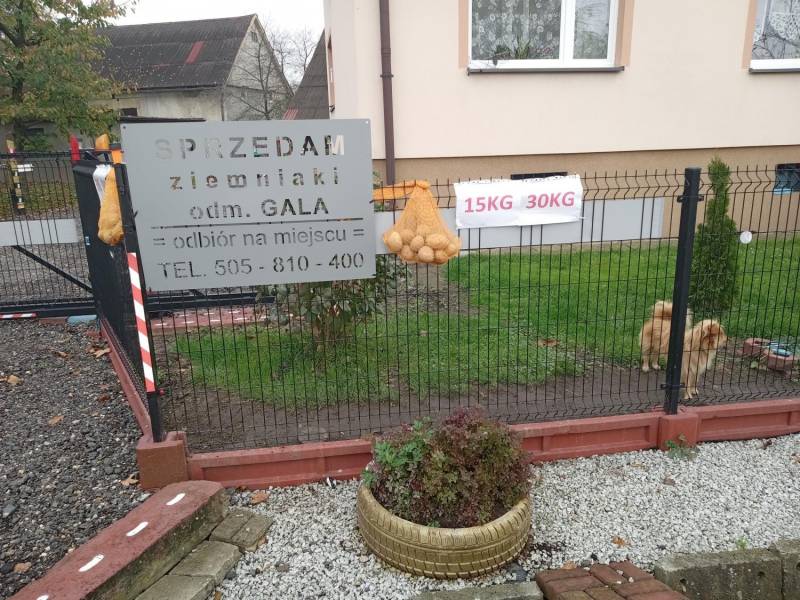 ox_ziemniaki-gala-bdb-odm-od-rol-przyjedz-zakup-koncza-sie-powoli