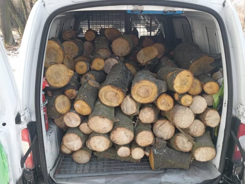 ox_drewno-swierkow-czeresni-pociete-na-klocki-opal-galezie-za-darmo