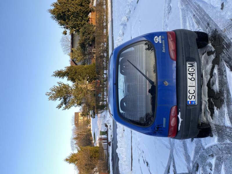 ox_fiat-seicento