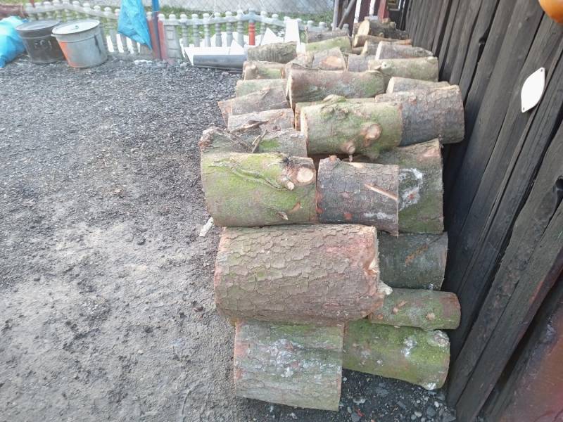 ox_opal-lub-inne-przeznaczeni-drewno-z-4-swierkow-juz-pociete-na-klocki