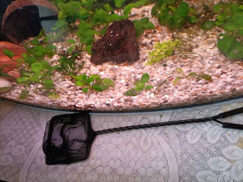 img20230218110707.jpeg