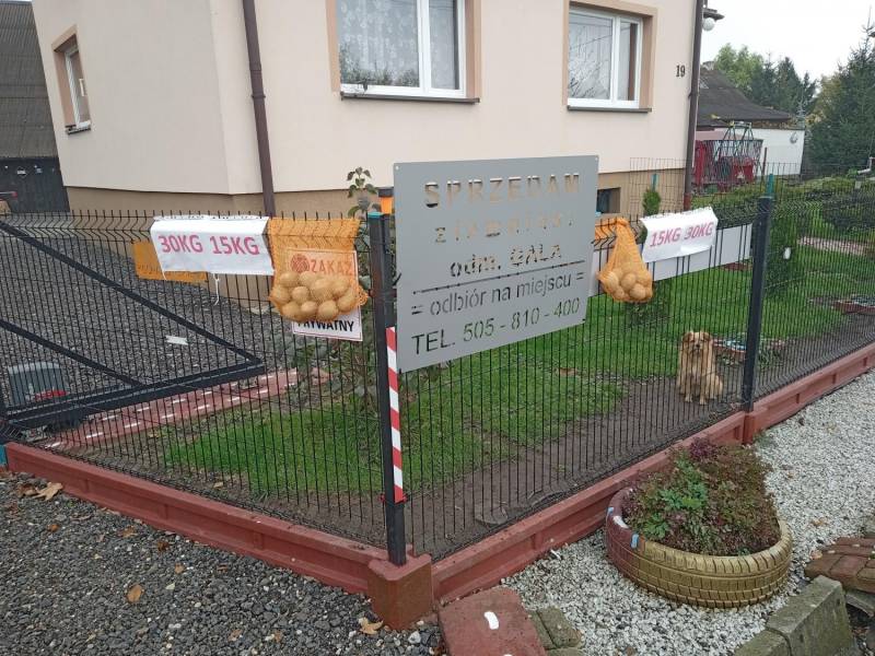 ox_ziemniaki-jadalne-odm-gala-prosto-od-rolnika-jeszcze-150-kg-z-dowozem