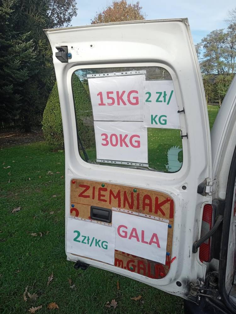 ox_ziemniaki-jadalne-odm-gala-prosto-od-rolnika-jeszcze-150-kg-z-dowozem