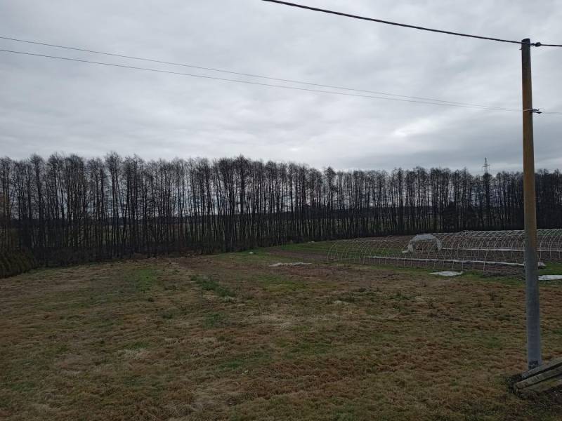 ox_dzialki-budowlane-2-szt-kazda-10-ar-wszystkie-media-na-terenie