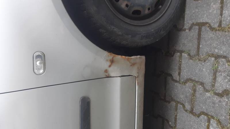 ox_volkswagen-polo