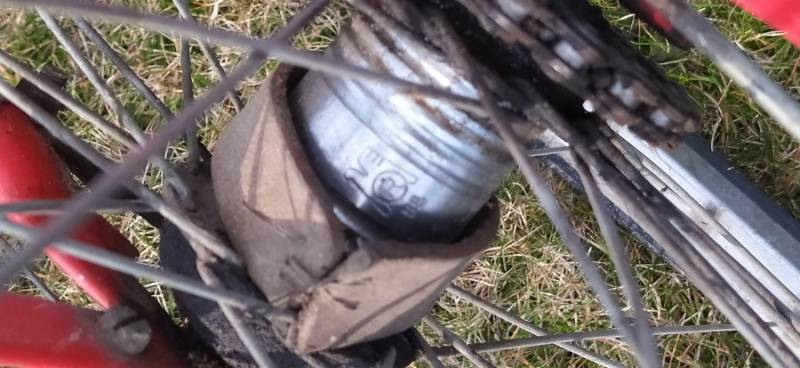 img-20230316-153431.jpeg