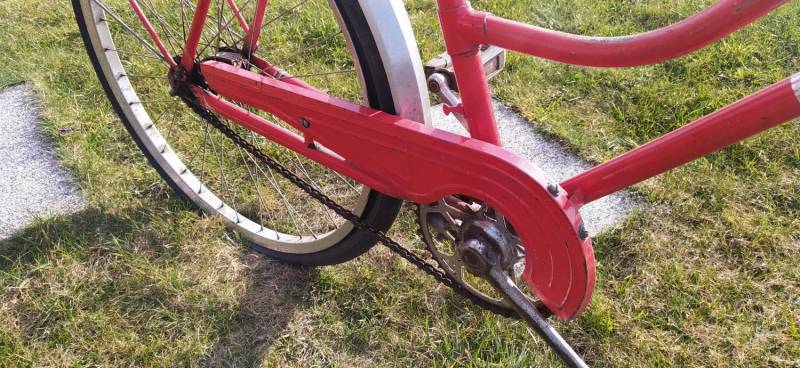 img-20230316-154920.jpeg