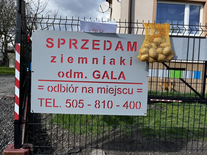ox_ziemniaki-jadalne-odm-gala-prosto-od-rolnika-mozliwy-transport