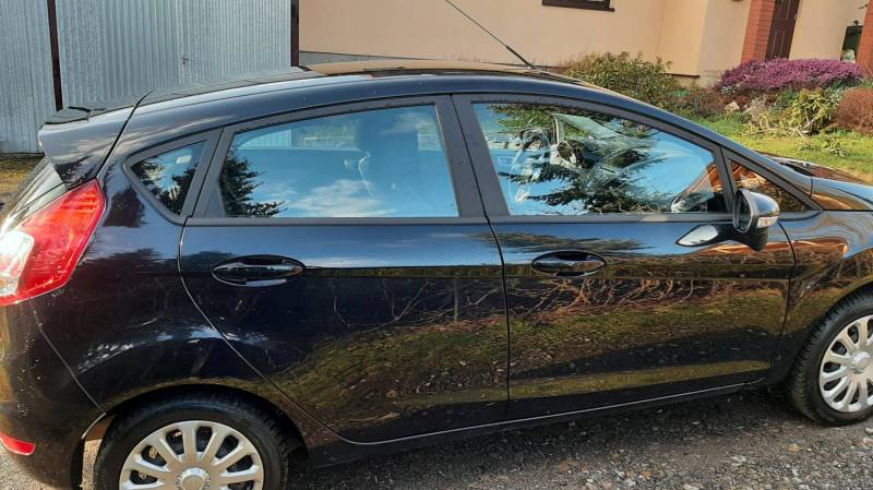 ox_ford-fiesta-12-benzyna