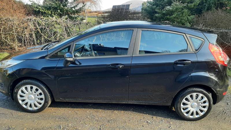 ox_ford-fiesta-12-benzyna
