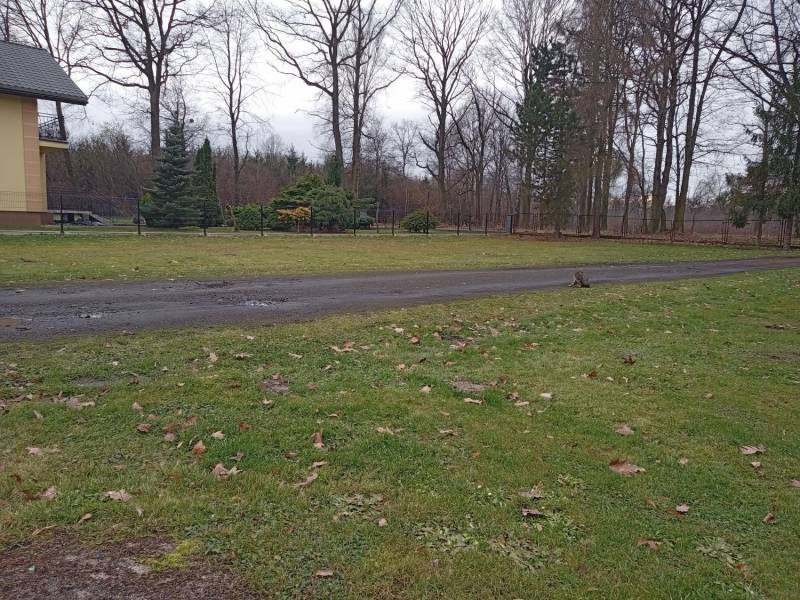 ox_dzialki-budowlane-2-kazda-10-ar-wszystkie-media-na-terenie-zabudowy
