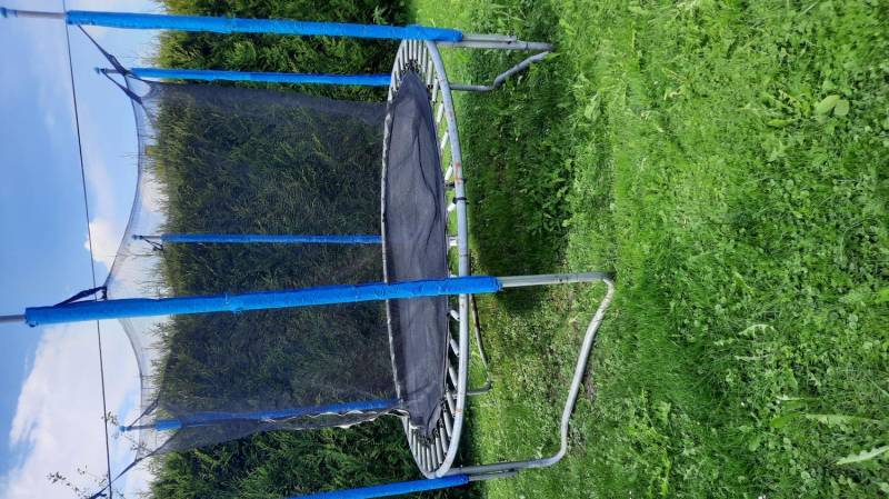 ox_trampolina
