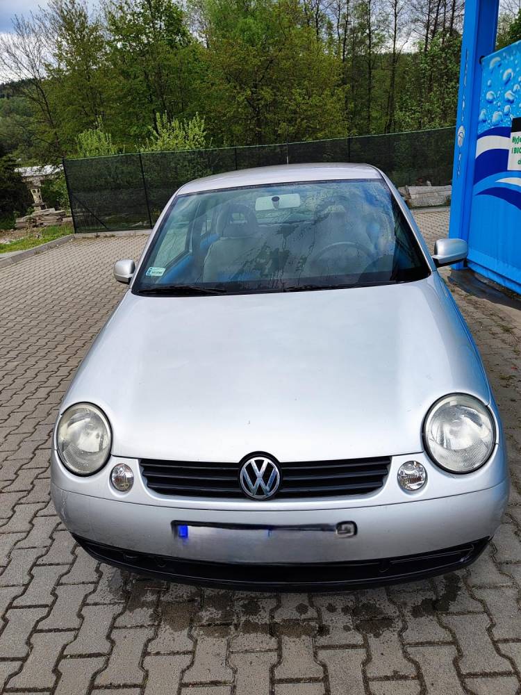 ox_lupo-2001-r