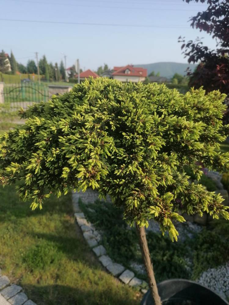 img-20230527-175117.jpeg