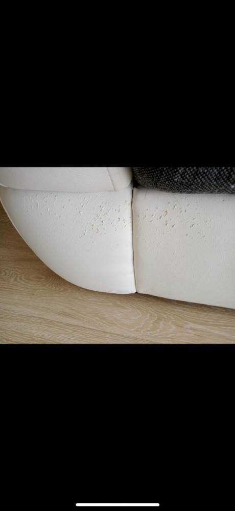 ox_sofa-zadrapania-od-kotka