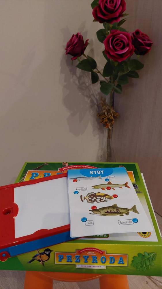 ox_elektroniczna-zabawka-edukacyjna-przyroda