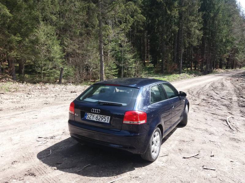 ox_audi-a3-8p-16-mpi