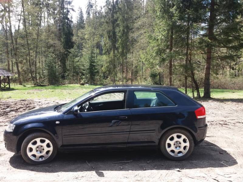 ox_audi-a3-8p-16-mpi