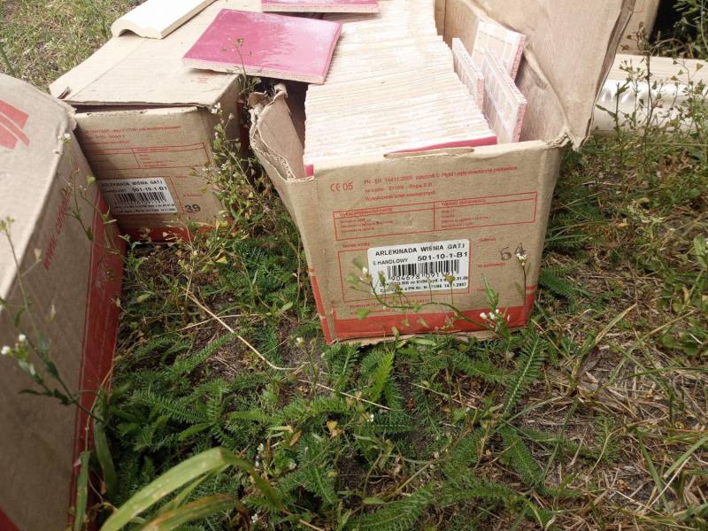 img-20230609-103304-.jpeg