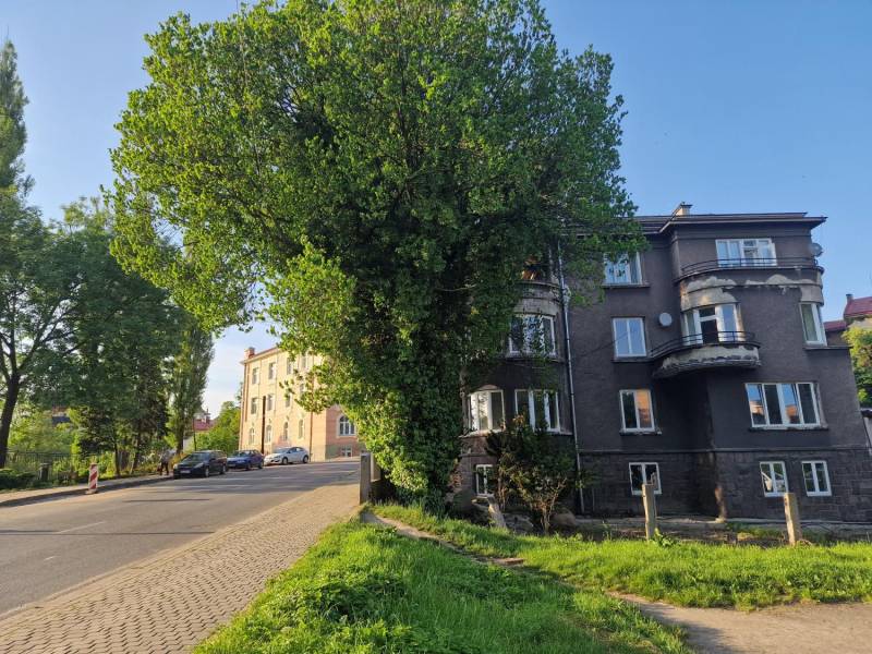 ox_kancelaria-prawna-traktat-poszukuje-pracownika-biurowo-administracyjn