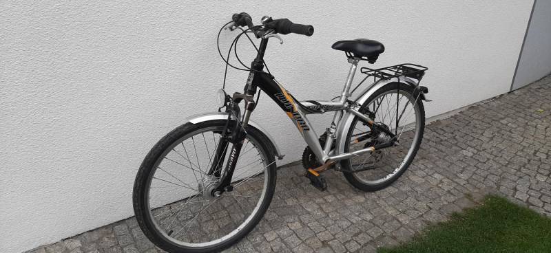 ox_rower-dzieciecy-winora-ruff-rider