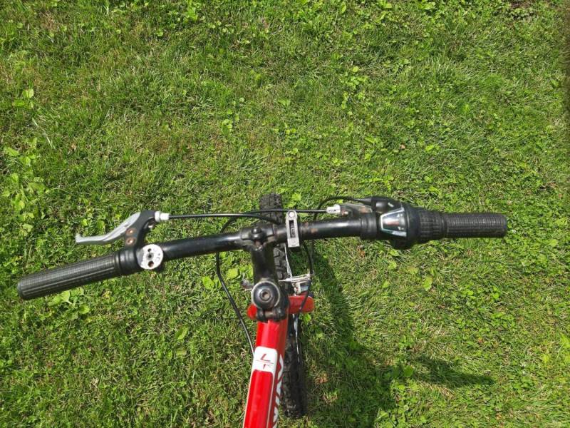 ox_rower-long-way
