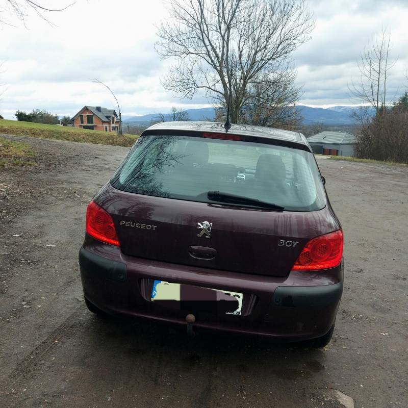 ox_peugeot-307