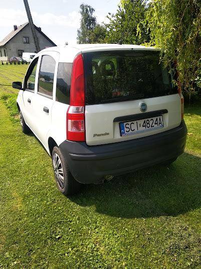 ox_sprzedam-pande-11