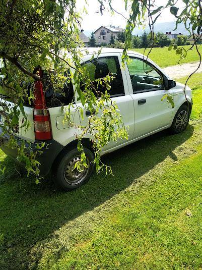ox_sprzedam-pande-11