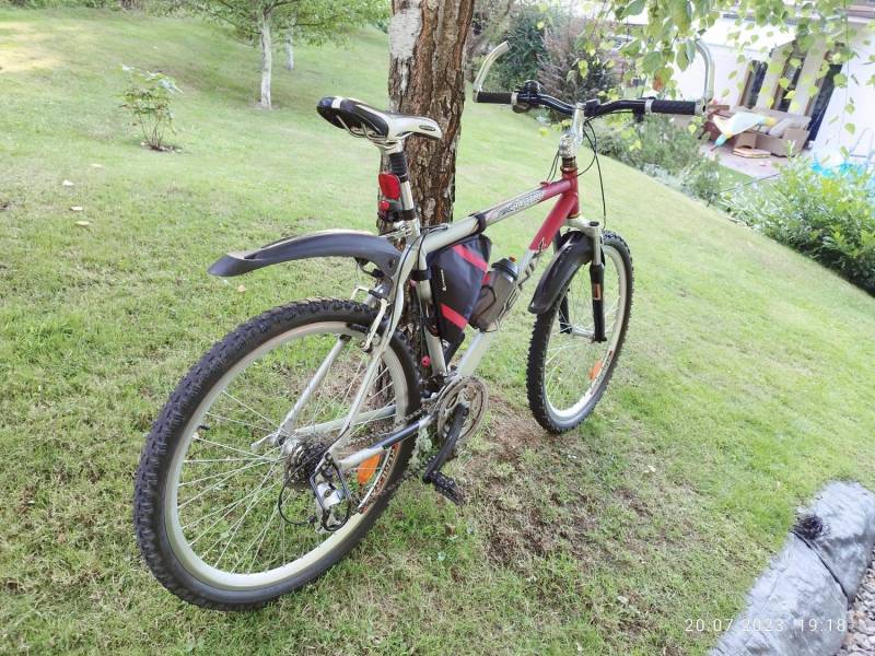 img-20230720-191846.jpeg