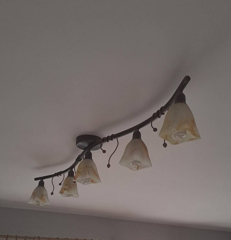 20230804-091052.jpeg