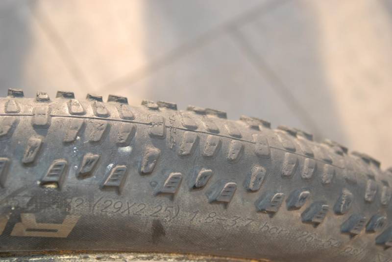 ox_opona-rowerowa-schwalbe-ralph-29x225-zwijana