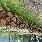 ox_drewno-kominkowe