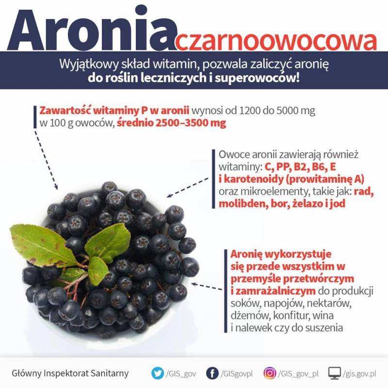 ox_aronia-owoce-ekologiczna