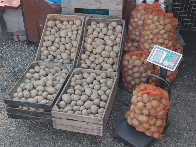 ox_ziemniaki-gala-juz-na-zime-z-transportem-w-cenie-zakupu-do-200-kg