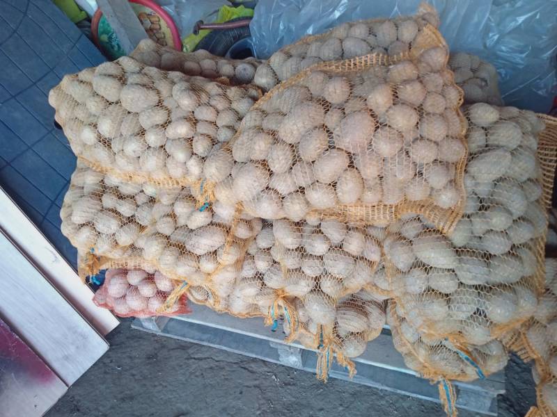 ox_ziemniaki-gala-na-zime-z-transportem-w-cenie-zakupu-minimum-200-kg