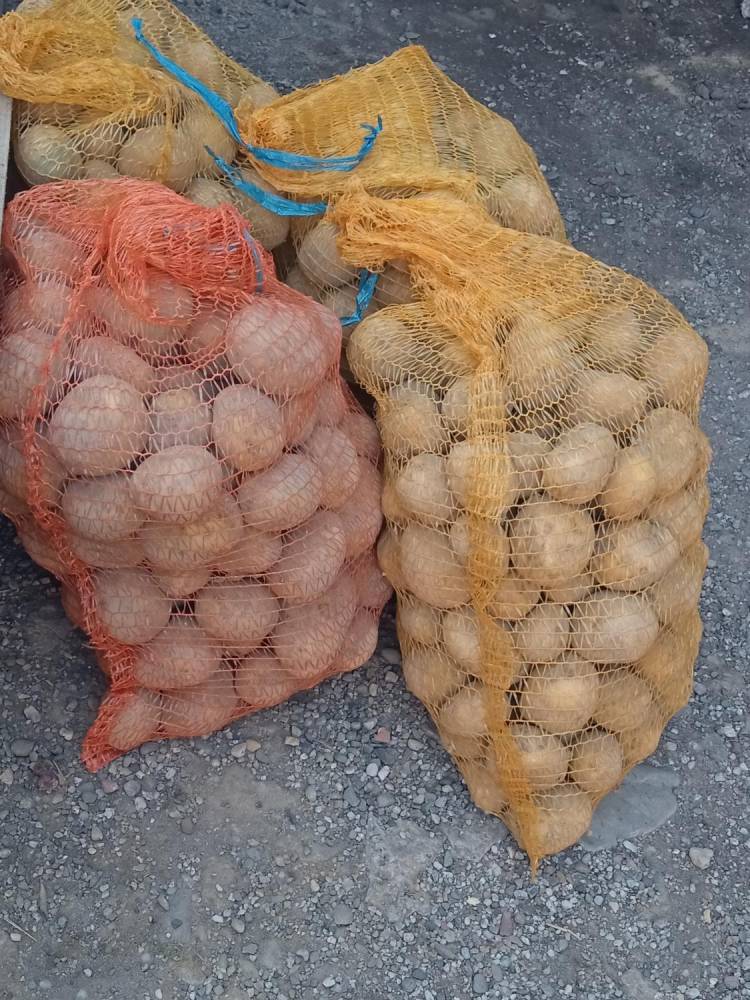 ox_ziemniaki-gala-na-zime-z-transportem-w-cenie-zakupu-minimum-200-kg
