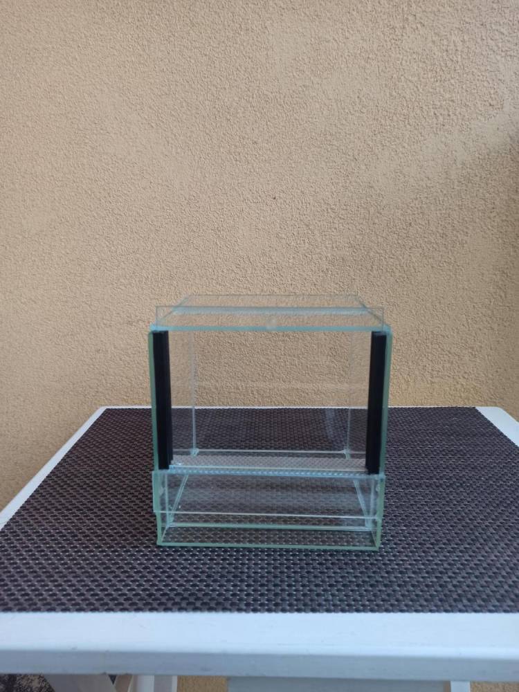 ox_terrarium-gilotyna-2-sztuki
