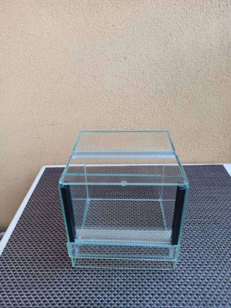 ox_terrarium-gilotyna-2-sztuki