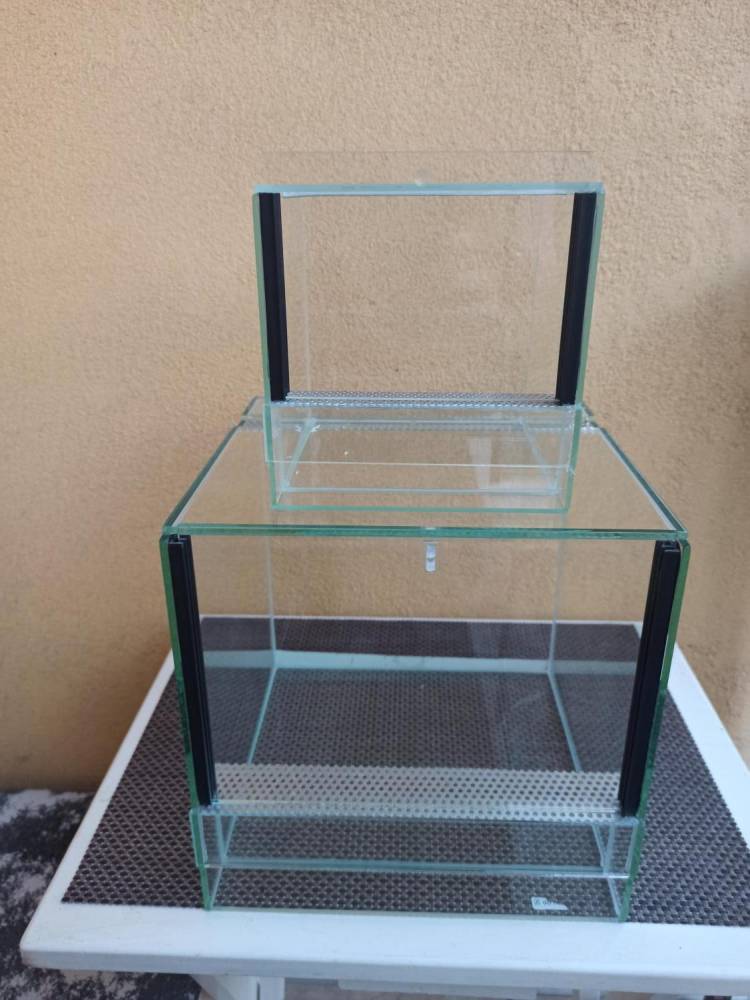 ox_terrarium-gilotyna-2-sztuki
