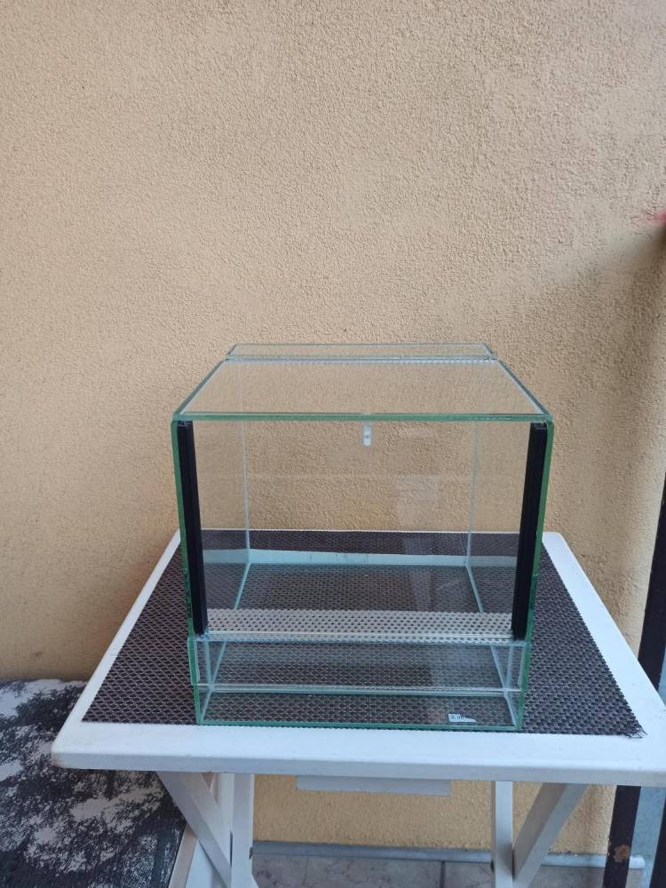 ox_terrarium-gilotyna-2-sztuki