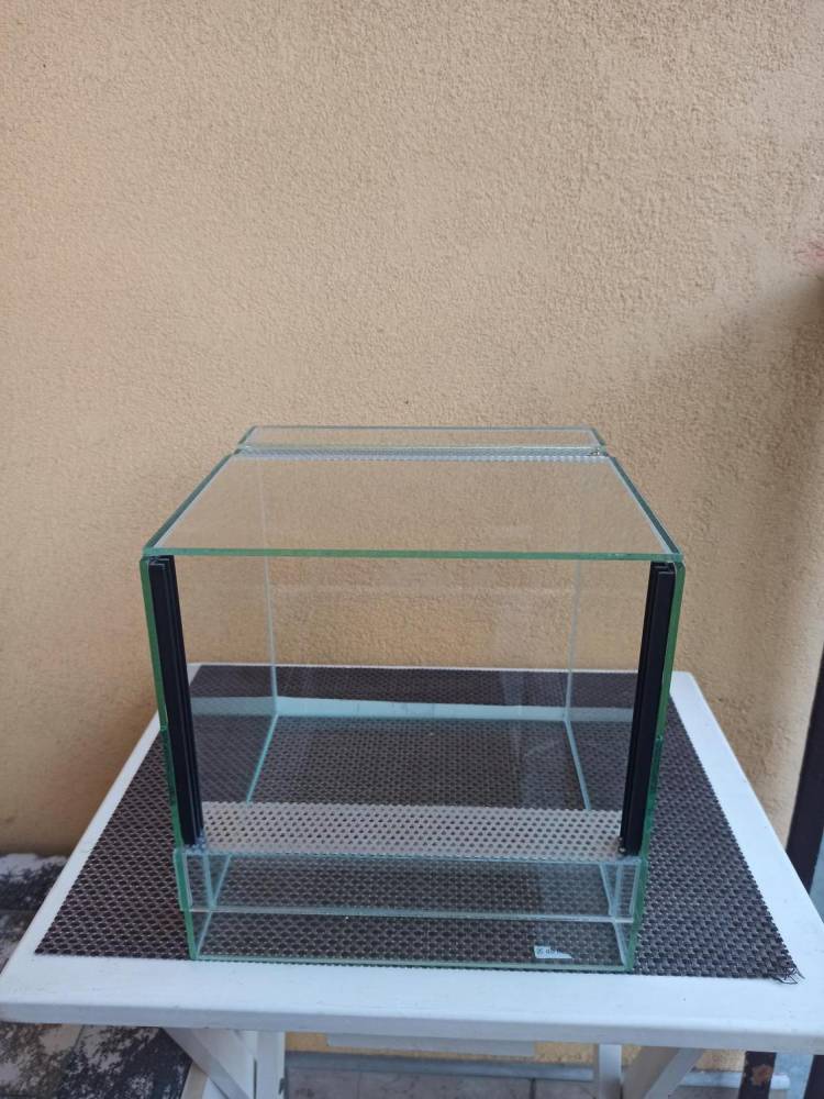 ox_terrarium-gilotyna-2-sztuki