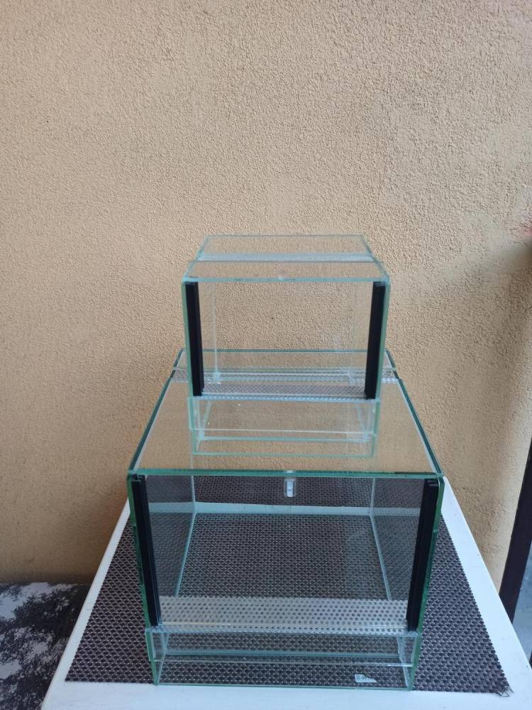 ox_terrarium-gilotyna-2-sztuki